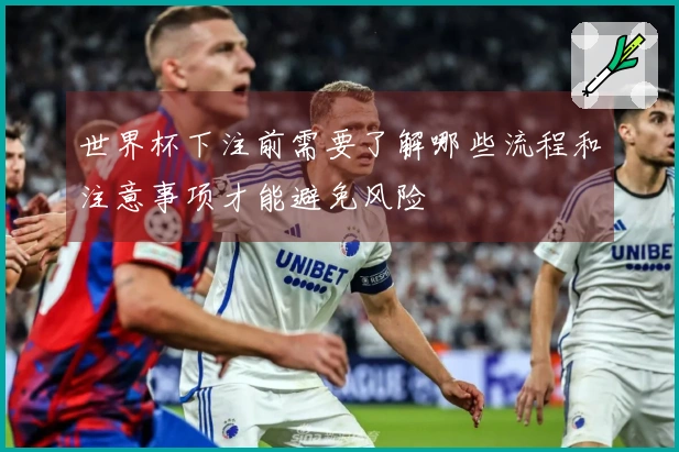 世界杯下注前需要了解哪些流程和注意事项才能避免风险
