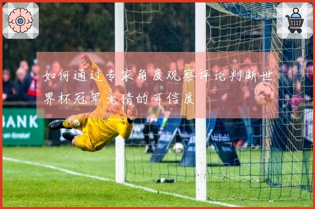 如何通过专家角度观察评论判断世界杯冠军竞猜的可信度